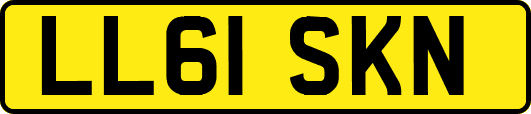 LL61SKN