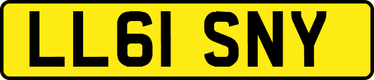 LL61SNY