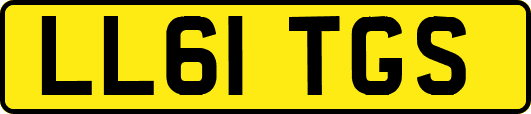 LL61TGS