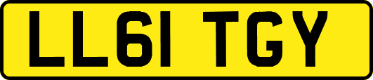 LL61TGY