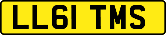 LL61TMS