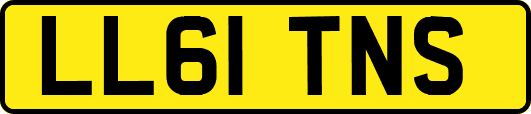 LL61TNS