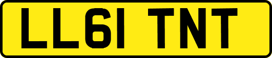 LL61TNT