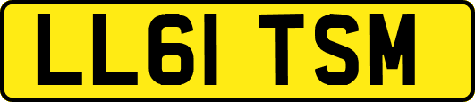 LL61TSM