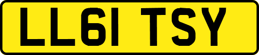 LL61TSY