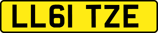 LL61TZE
