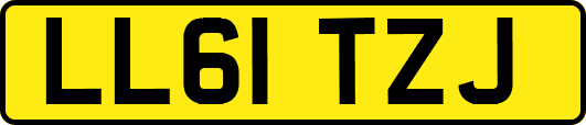 LL61TZJ