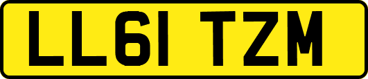 LL61TZM