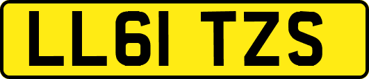 LL61TZS