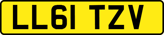 LL61TZV