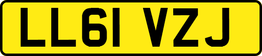 LL61VZJ