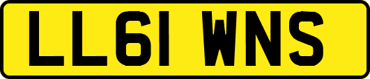 LL61WNS