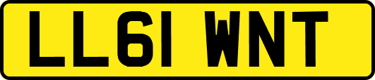 LL61WNT