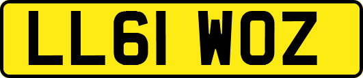 LL61WOZ