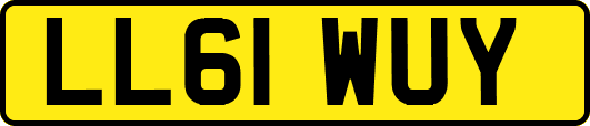 LL61WUY