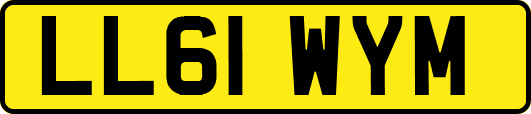 LL61WYM