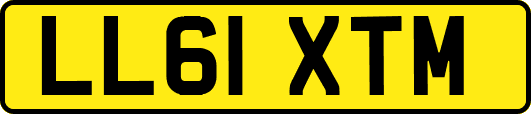 LL61XTM