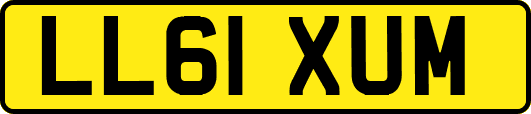 LL61XUM