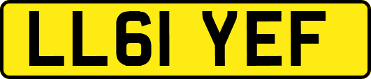 LL61YEF