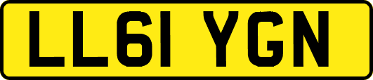 LL61YGN