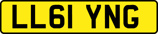 LL61YNG