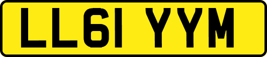 LL61YYM
