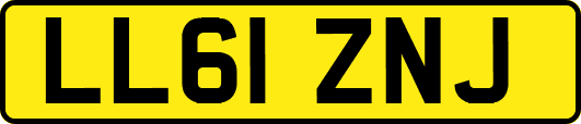 LL61ZNJ