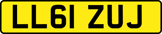 LL61ZUJ