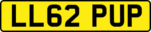 LL62PUP