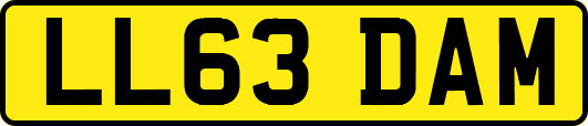 LL63DAM