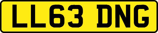 LL63DNG