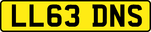 LL63DNS