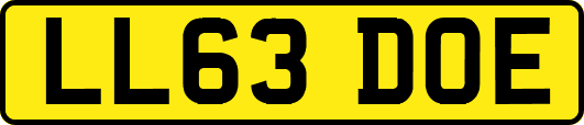 LL63DOE