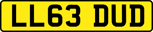 LL63DUD