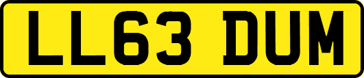 LL63DUM