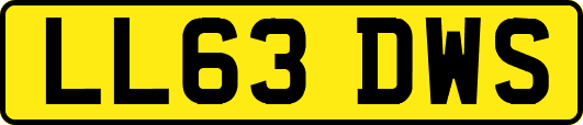 LL63DWS