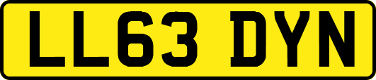 LL63DYN