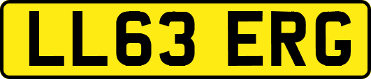 LL63ERG