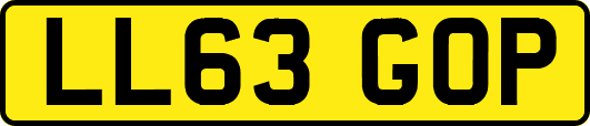 LL63GOP