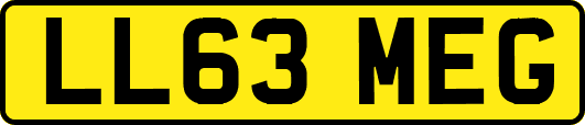 LL63MEG