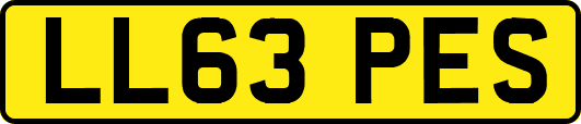 LL63PES