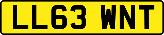 LL63WNT