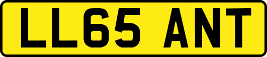 LL65ANT