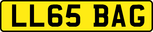 LL65BAG