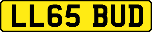 LL65BUD