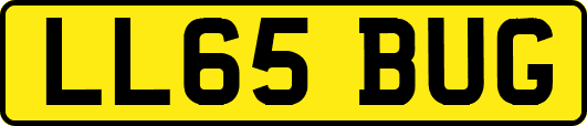 LL65BUG