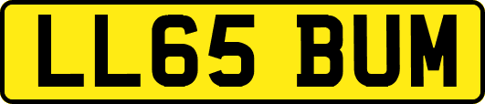 LL65BUM