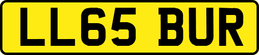 LL65BUR