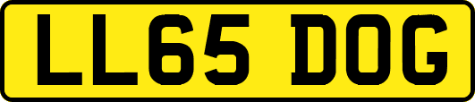 LL65DOG