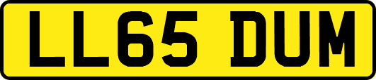 LL65DUM